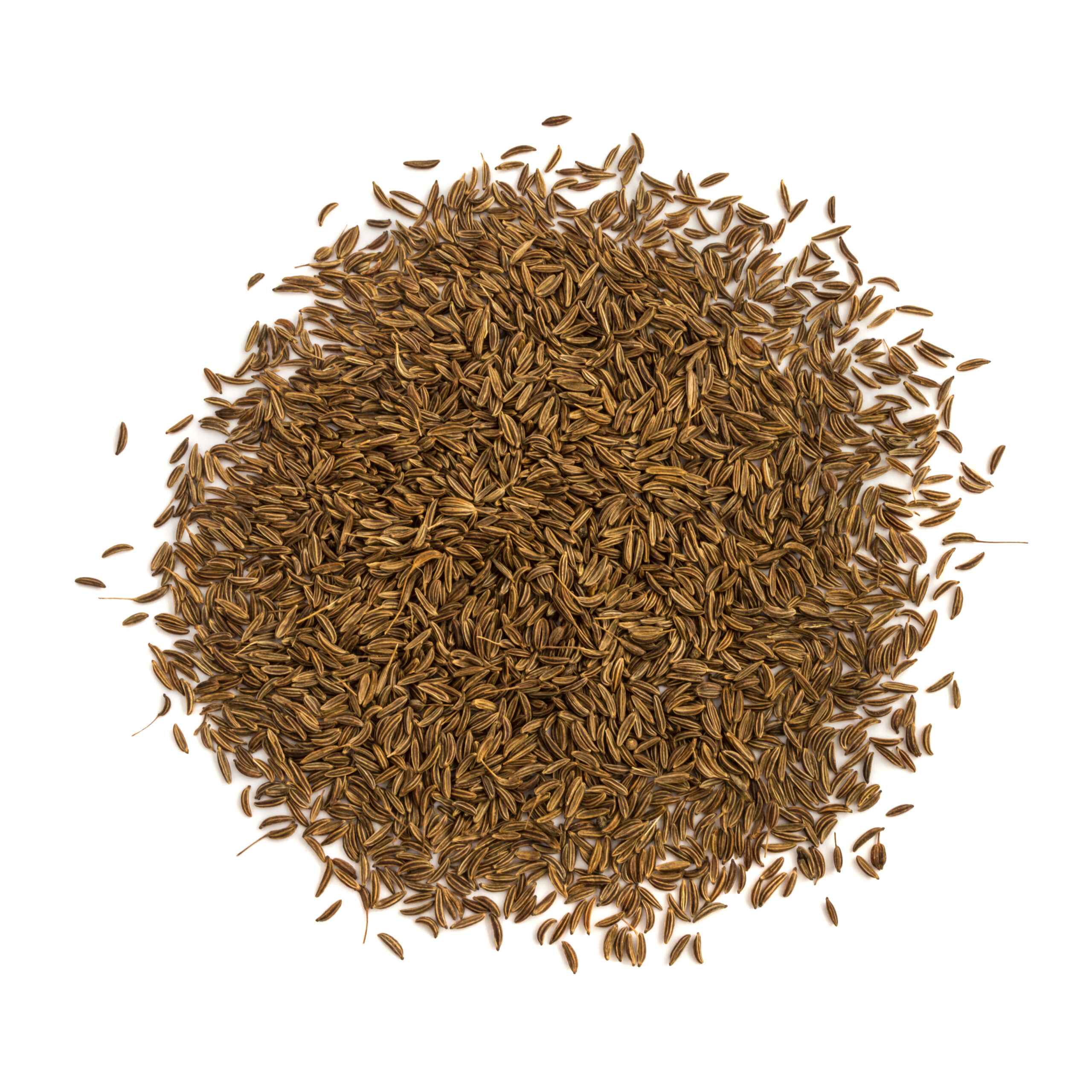 Cumin seeds Jeera