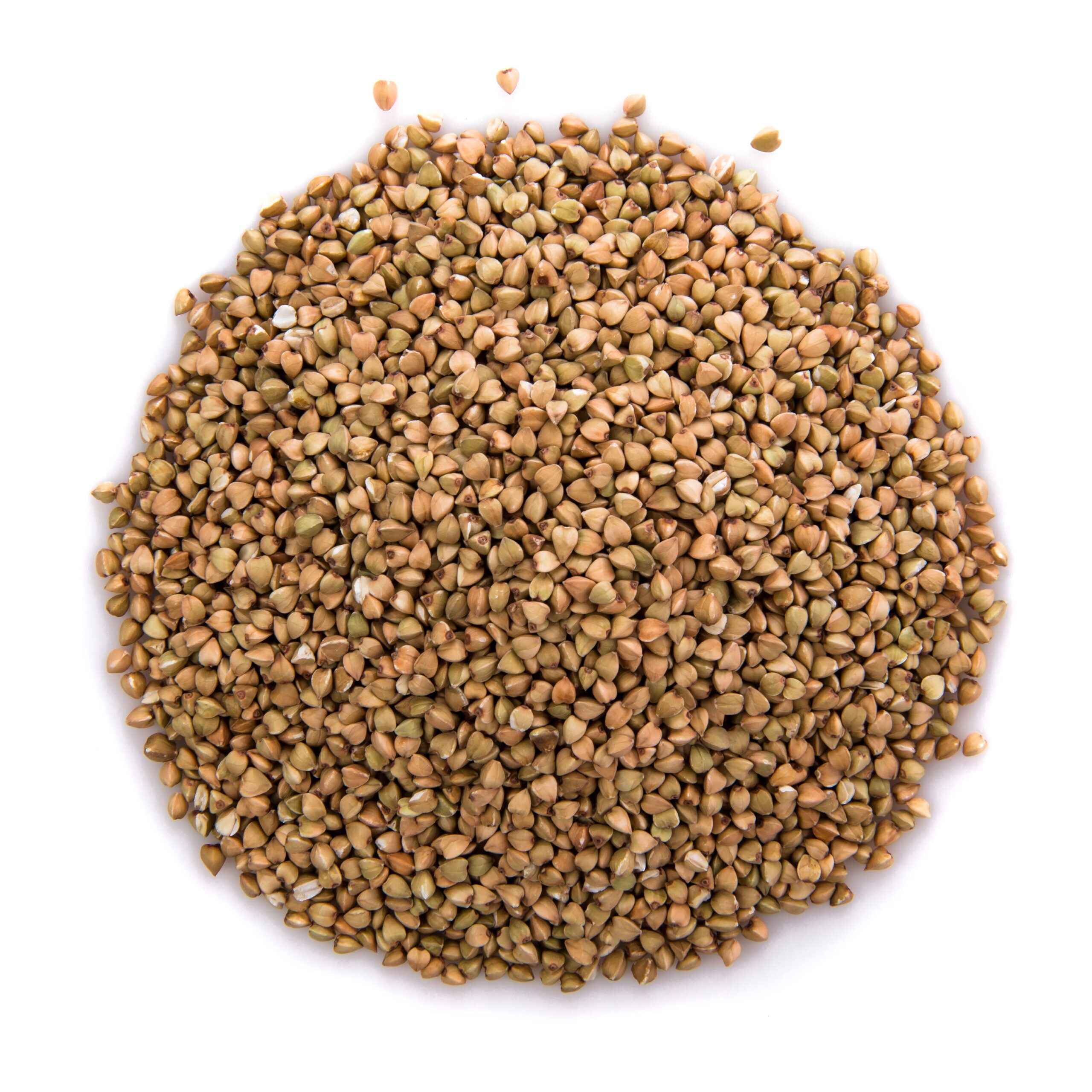 Coriander Dhania Seeds